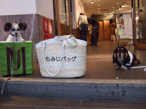 2008_0620新デジカメ〜0249.jpg
