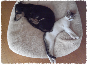 2009-09-03_1754.jpg