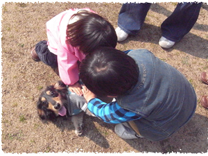 20100226(b3).jpg